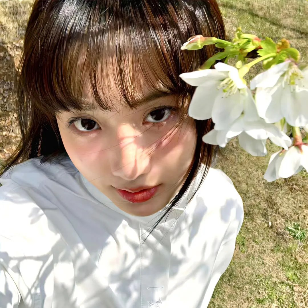 艾莉塔：战斗天使